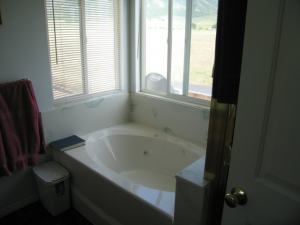 1348E 850 N Rental master bath